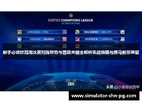 新手必读欧冠淘汰赛对阵形势与晋级关键全解析实战策略与黑马前景展望 新手必读欧冠淘汰赛对阵形势与晋级关键全解析实战策略与黑马前景展望